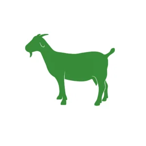 Premium Goat