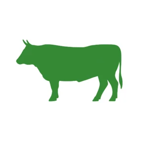 Premium Cow Share