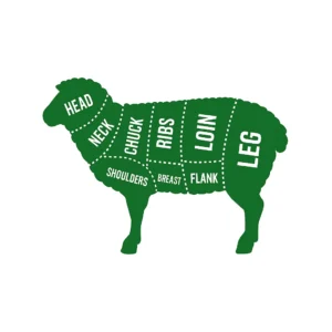 Sheep Chatra